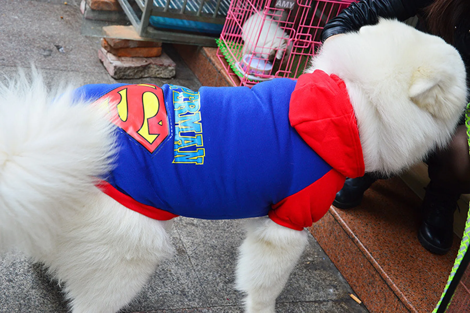 Зимняя одежда для собак свитер больших Супермен Бэтмен теплая куртка пальто Jin Mao