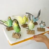 taxidermy stuffing eurasian parrot specimen teaching decoration