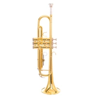 sadsn bb tune trumpet brass gold plated b flat trumpet pearl button for beginner musical instrument with mouthpiece case str 100