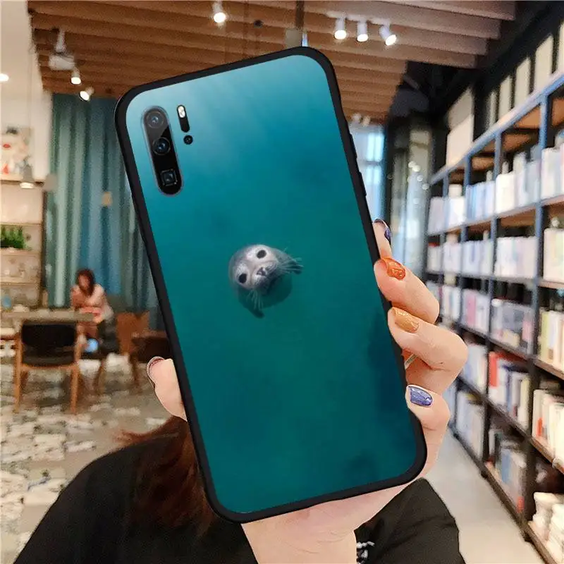 

animal seal cute lovely Phone Case For Huawei honor Mate P 9 10 20 30 40 Pro 10i 7 8 a x Lite nova 5t Soft silicone funda