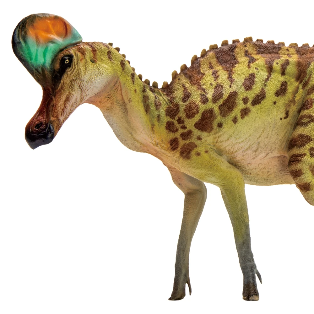 PNSO-dinosaurio prehistorico, modelos: 28, Ana, Corythosaurus-0