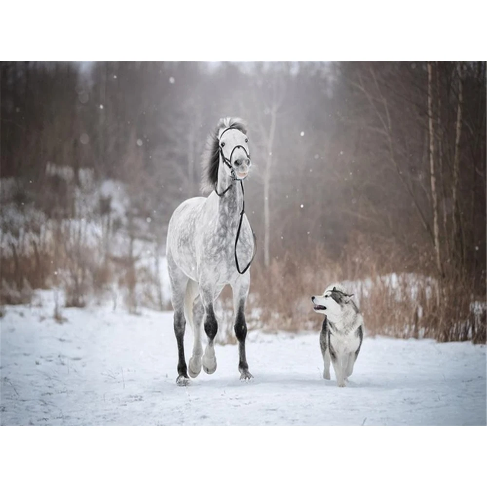 

Животные Собака Хаски Сделай Сам Вышивка крестом 11CT вышивка Наборы ремесло набор для рукоделия с напечатаным холстом хлопчатобумажные нит...
