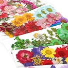 1 сумка DIY сушеные цветы полимерная форма наполнитель настоящие сухие цветы сухое растительное Ожерелье Изготовление ювелирных изделий ремесло DIY аксессуары