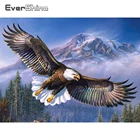 Алмазная живопись Evershine с животными, Набор для вышивки крестиком с орлом, полная выкладка, мозаичное украшение стены из страз