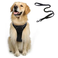 rabbitgoo dog harness and leash set for small medium large dogs adjustable reflective soft pad pet vest walking no pull harness