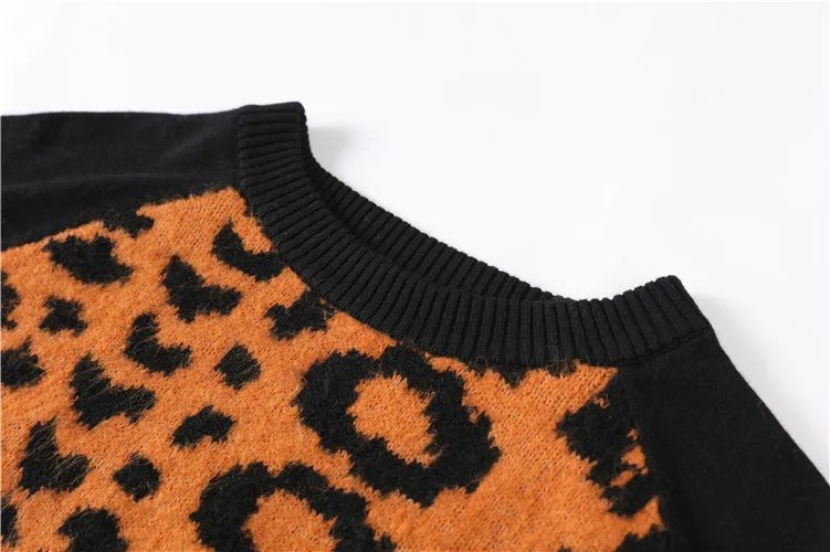 Streetwear Leopard Print Sweater Women 2019 Autumn Winter Fashion Long Sleeve Befree Knitted Sweaters and Pullovers For Ladies | Женская