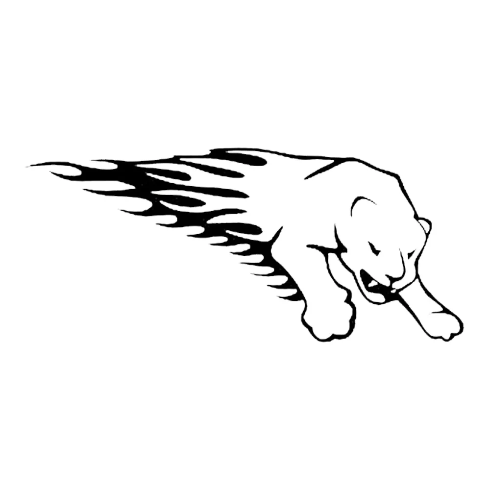 

TIGER THE Flames Fashion Vinyl Car Sticker Motorcycle Decals Window Bumper Accessories Black/Silver 15*6.7CM S-00408