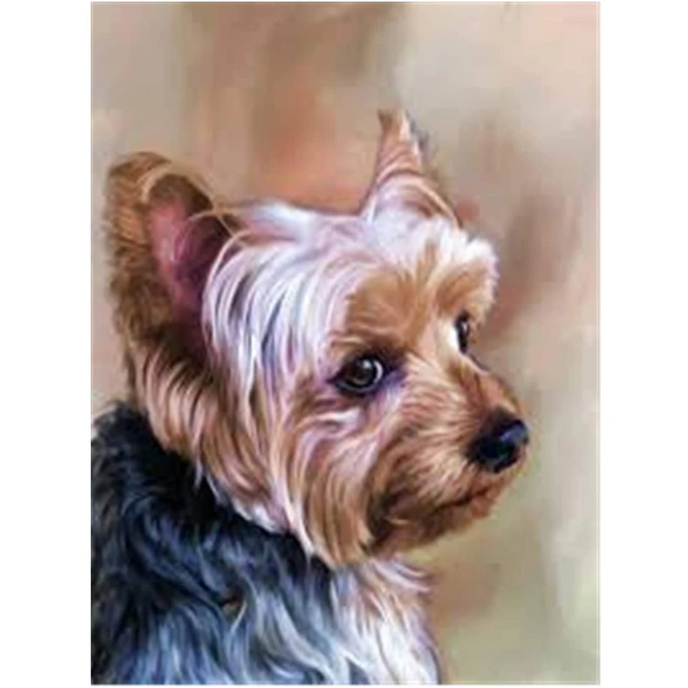 

Картина из страз «сделай сам» с изображением животных йоркширского терьера