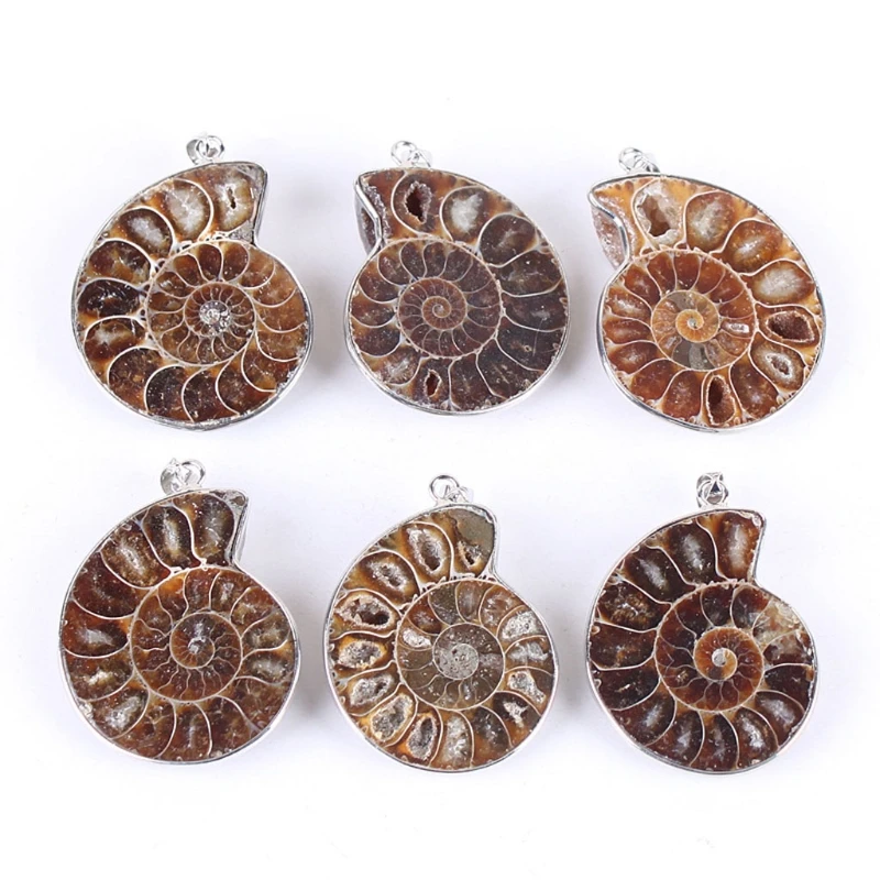 

Natural Ammonite Fossils Pendant Jewelry Silver Tone Ammonite Fossils Stone Wrapped Pendant Necklace Fashion Jewelry R9JE