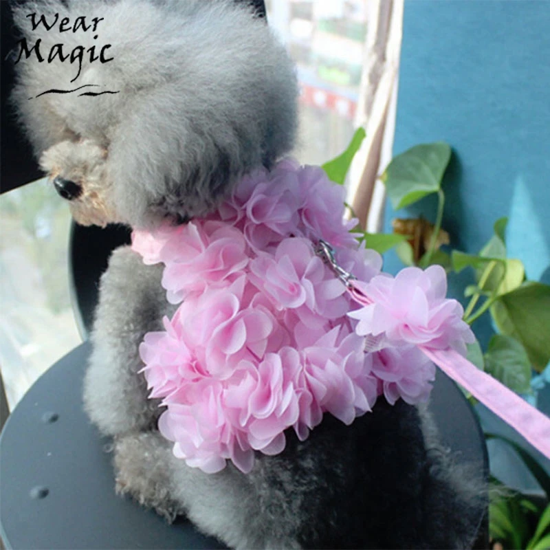 

Для обхватывающие грудь ремни жилет Тип тяговых канатов милые короткие носки для малышей собаки кота собаки веревка для предотвращения пол...