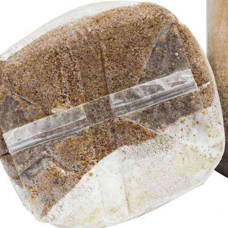 50 шт Грибная Gg сумка Толстые мешки 8 мил сумки микрометр дышащий фильтр | Дом и сад