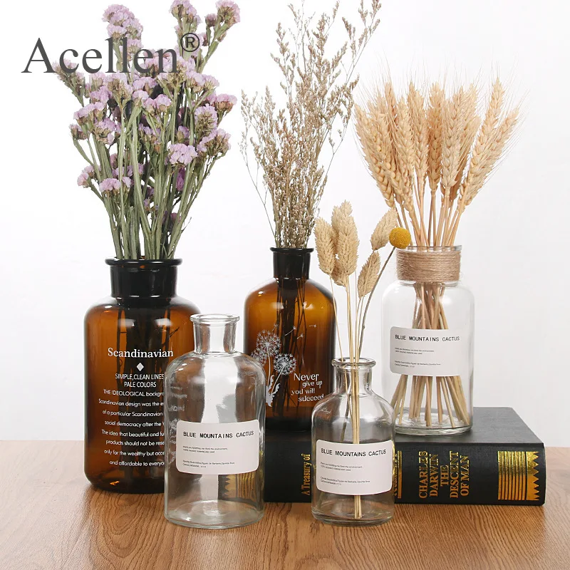 Скандинавское стекло реагент ваза гидропоники Сушеный Цветок Маленькая