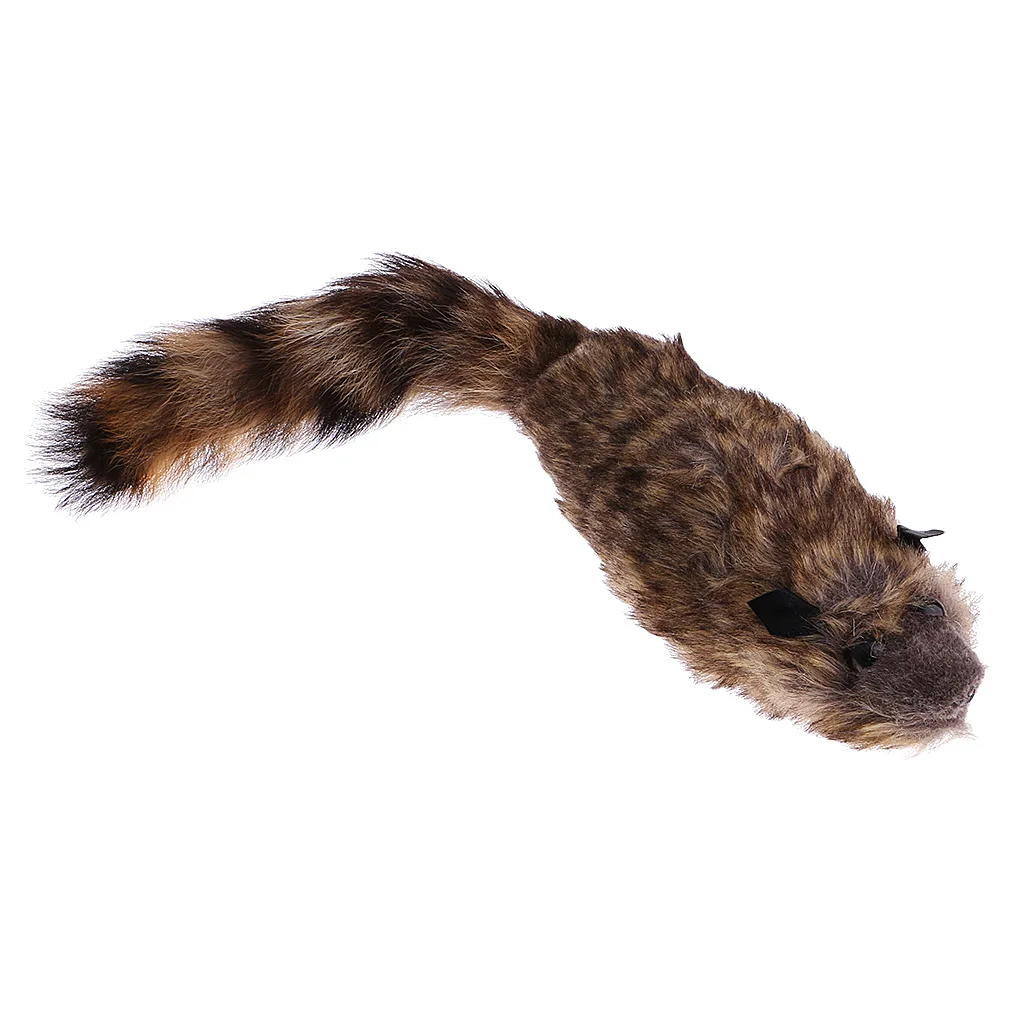 Забавный Робби енот Весна веселье сцена волшебное шоу трюк волшебные игрушки