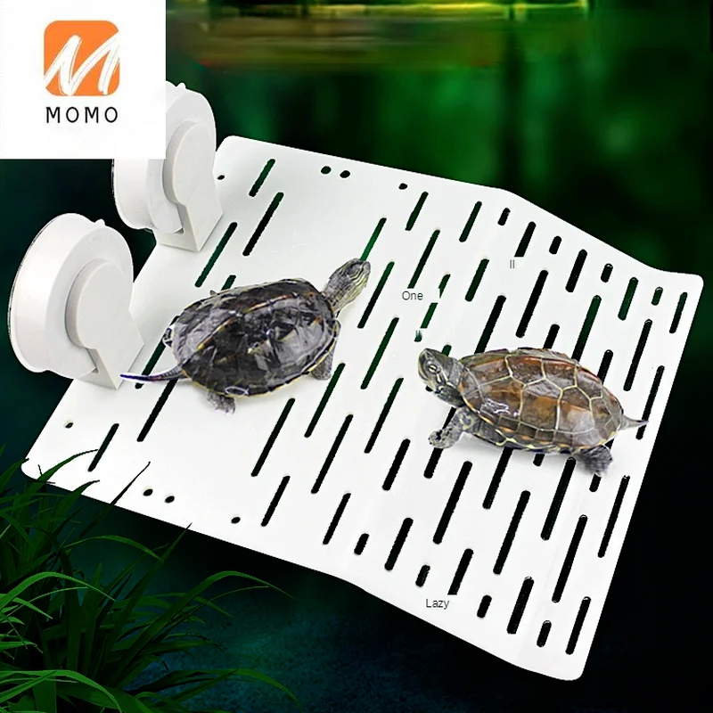 

Turtle Table Supplies Drying Back Table Floating Island Climbing Cylinder High Water Level Deep Water Ladder Rest