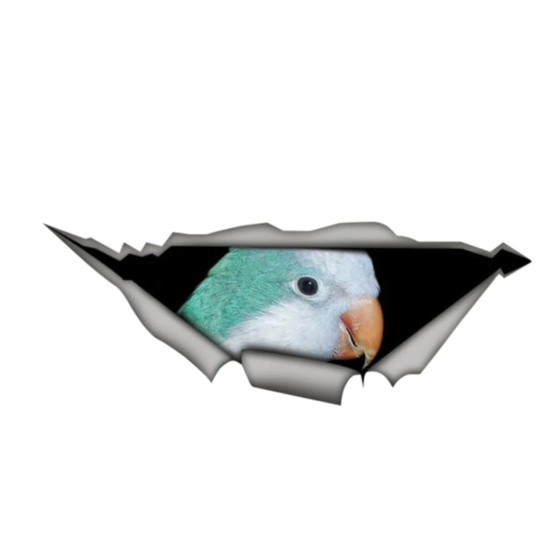 

Personality Blue Quaker Parrot Vinyl Waterproof Car Window High Quality Accessories Vinyl Decorative PVC 13cm X 5cm