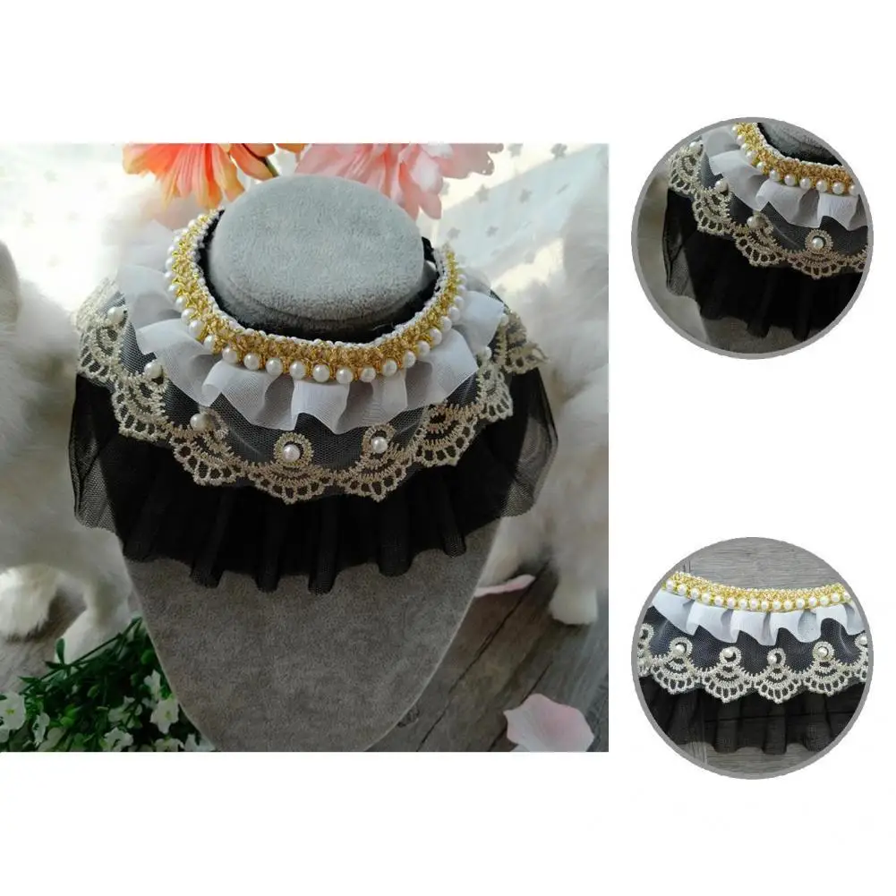 

Многослойный привлекательный фон для фотосъемки маленьких собак и кошек