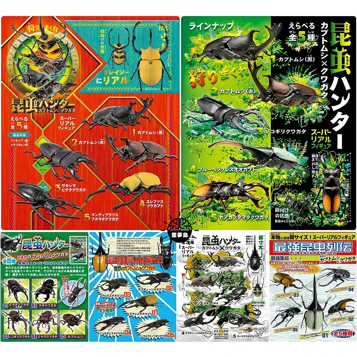 

Insect Hunters Gashapon Toys Beetle Model Uang Kuwagata Japanese Animal Scene Spot Simulation Model Action Figure Ornament Toys