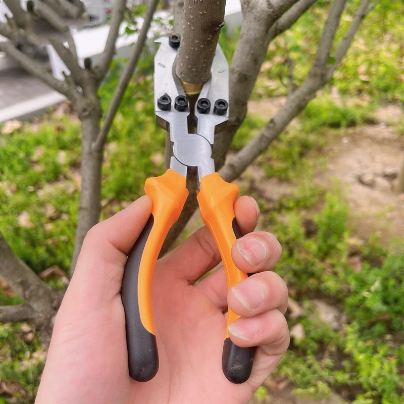 

Профессиональный садовый инструмент для обрезки фруктовых деревьев