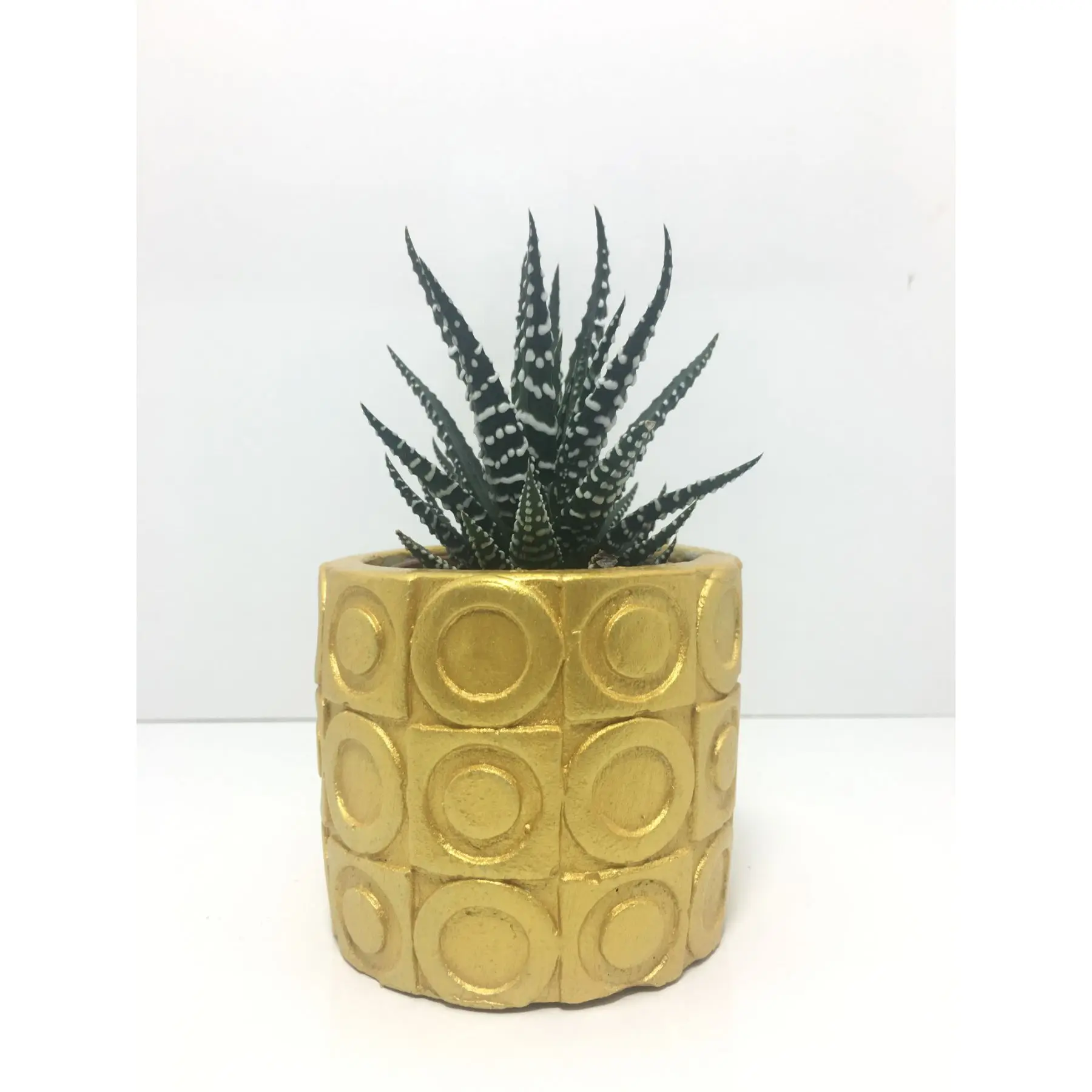 

Oval Textured Concrete Pot and Live Sukulent - YE1605