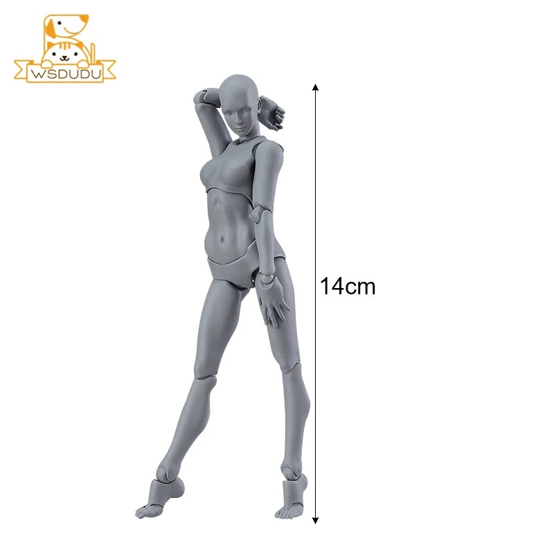 Шарнирные куклы Figma He She с подвижным телом экшн игрушки для рисования аниме модель