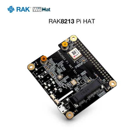 RAK2287 шляпы Pi плата преобразователя разъем для PCIe совместим с raspberry 3B + и RPi4 |