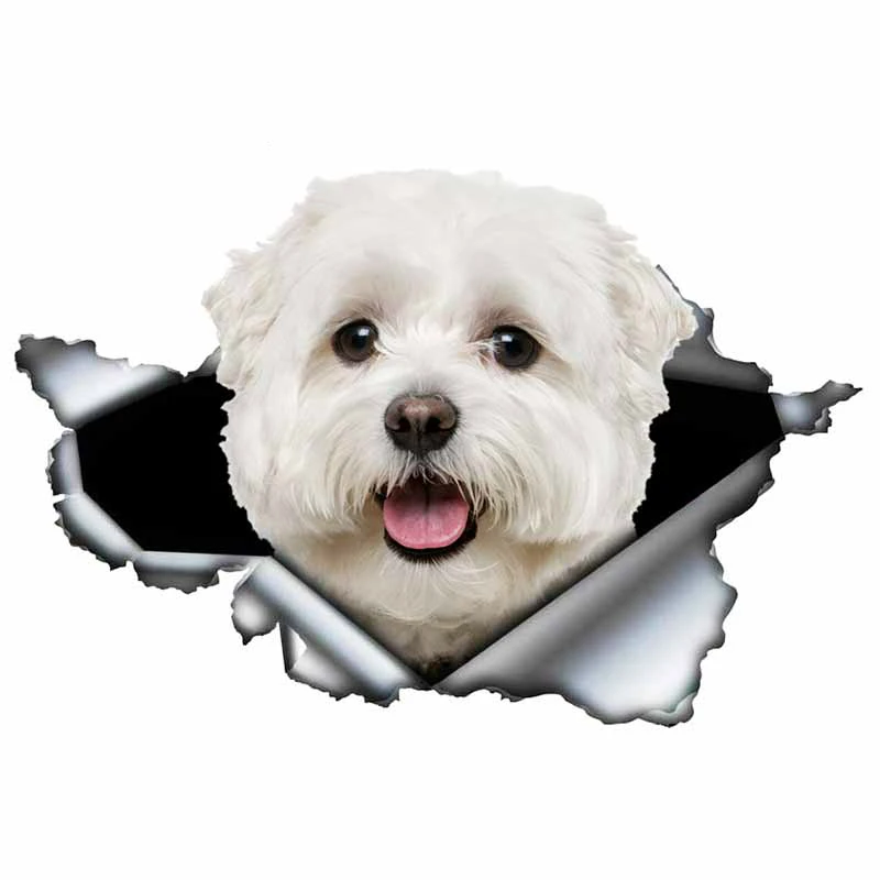 

S50072# 13/15/17CM Personality PVC Decal Maltese Dog V7 Waterproof Car Sticker on Motorcycle Laptop Decorative Accessories