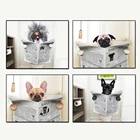 Настенная картина забавная собака для чтения газеты и каванов