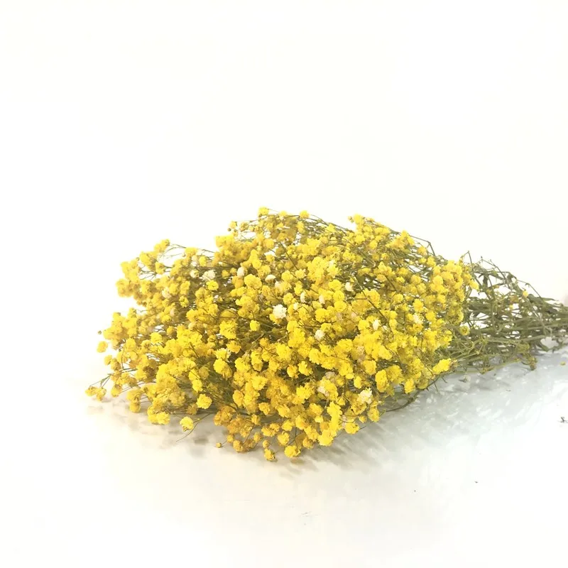 

Artificial Plants Gypsophila Natural Dry Flower DIY Wreaths and Garlands For Photo Shoot Props Spring Decoration Baby Breath