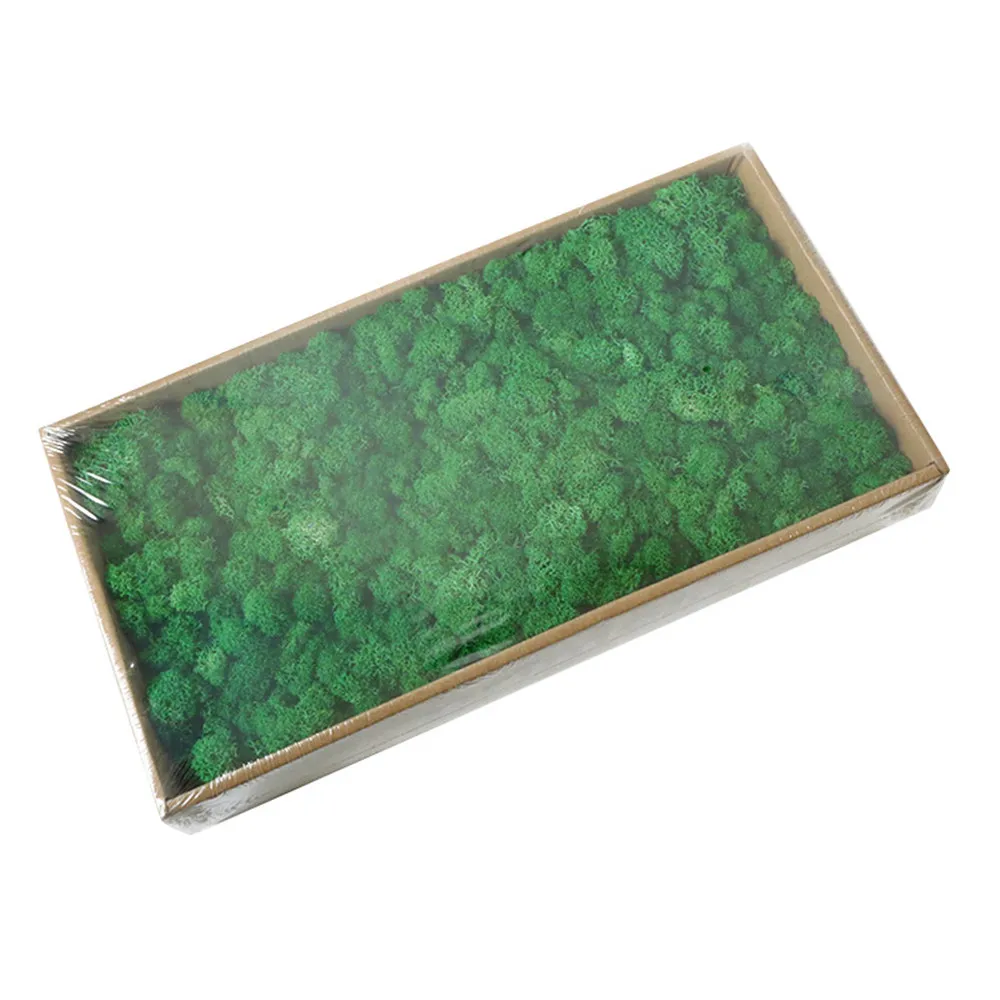 

1Box Immortal Flower Moss Material Boxed 200g 500g Home Decoration Wall DIY Preserved Dried Coral Grass 16 Colors