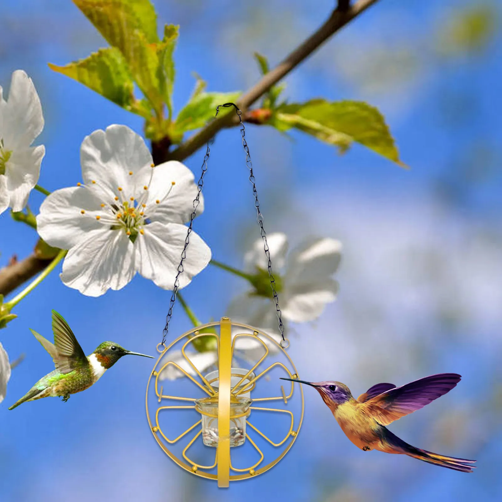 

New Fashion Design Outdoor Courtyard Indoor Hanging Hook Type Double Cup Bird Feeder Home Garden Hangs Decoration