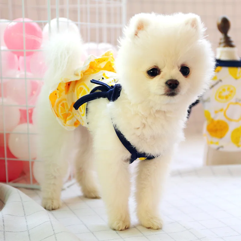 PETCIRCLE одежда для щенков лимонная юбка на подтяжках жилет питомца кошки подходит