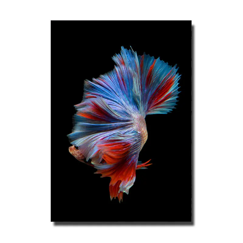 Простые разноцветные постеры и принты в скандинавском стиле с изображением рыб