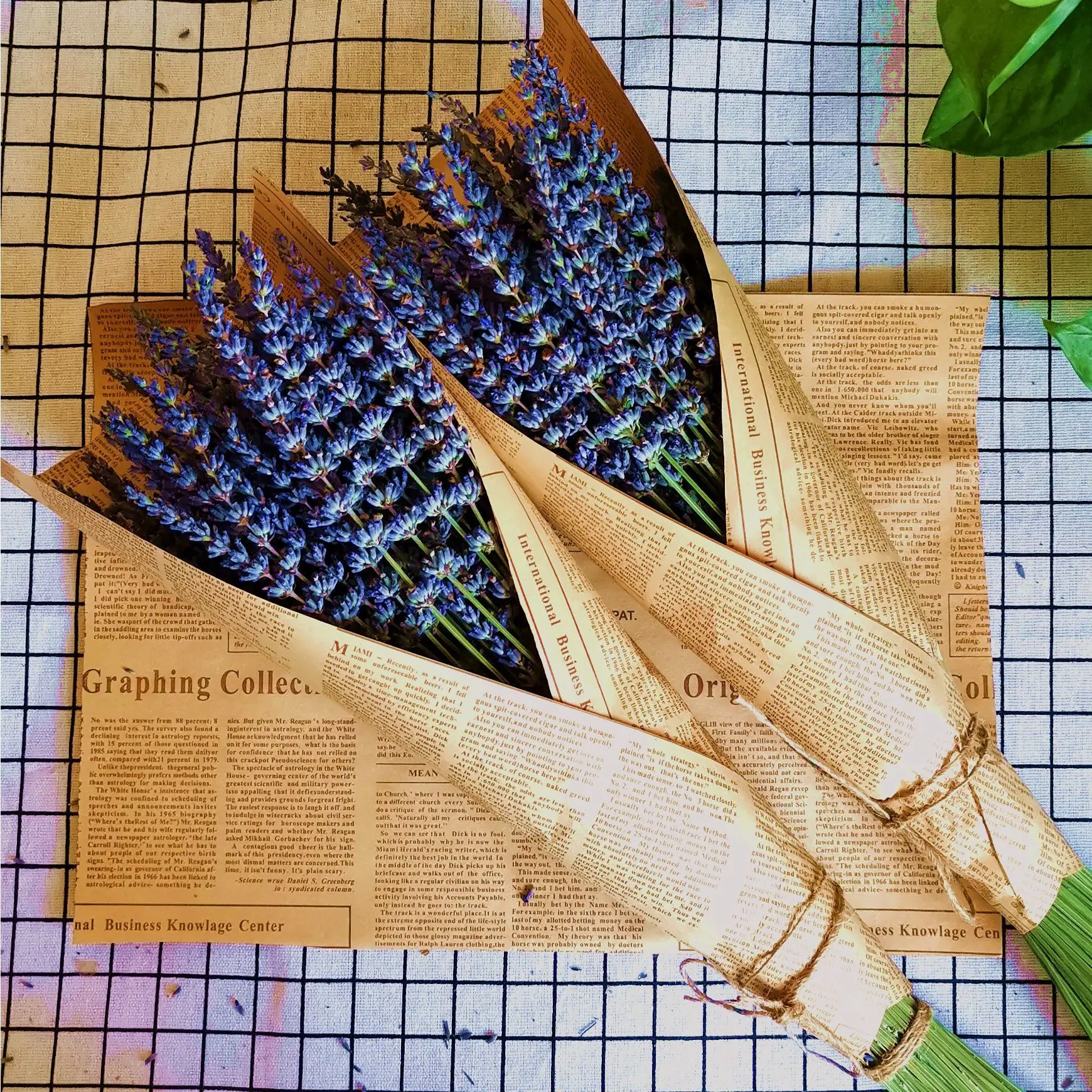 

Natural Dried Flower Bouquet Natural Dried Lavender Aromatherapy For Home Decoration Accessories Party Sachet Gift Wedding Decor