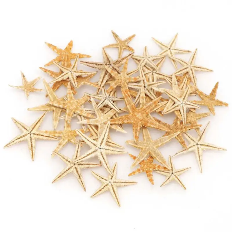 

1 Box Natural Starfish Seashell Beach Craft Natural Sea Stars DIY Beach Wedding Decoration Epoxy Resin Art Crafts 1-5 cm
