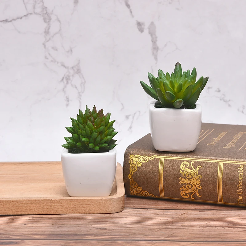 

Mini Cactus Succulent Bonsai Fake Potted for desk Decor Plants Artificial Succulents with Pot Home Decoration Accessories