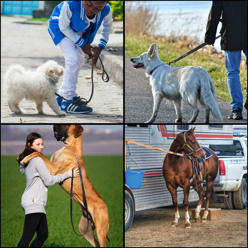 Светоотражающий Поводок для собак 2 мягких ручки 1 5 м|Поводки| |