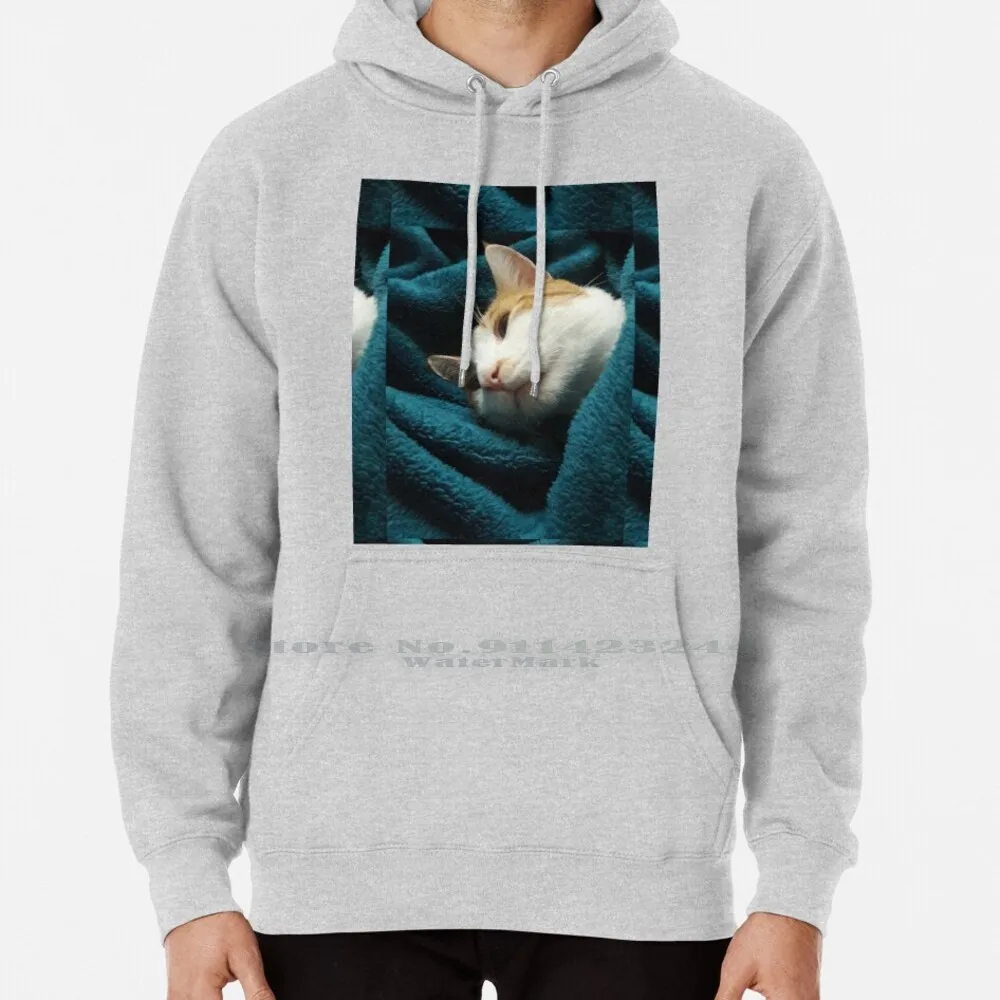 

Свитер с капюшоном Contemplation 6xl, хлопковый Женский пуловер большого размера 4xl с изображением кота, Чуна, мяу, голубого цвета, со змеиным зубом, для подростков