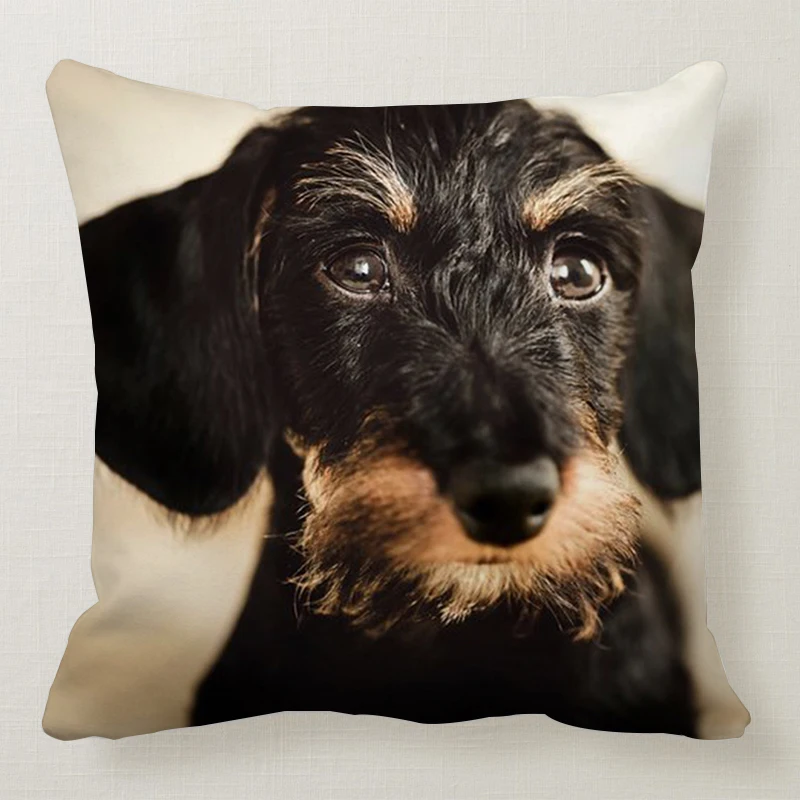 1 шт. 45*45 см милая собака подушка чехол Wirehaired подушки с таксой диван кровать автомобиль подушка чехол Спальня украшение в виде таксы Подушка бухта