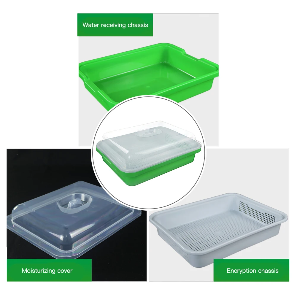 Ростки фасоли двухслойная посуда тарелка кассета для рассады Пластик