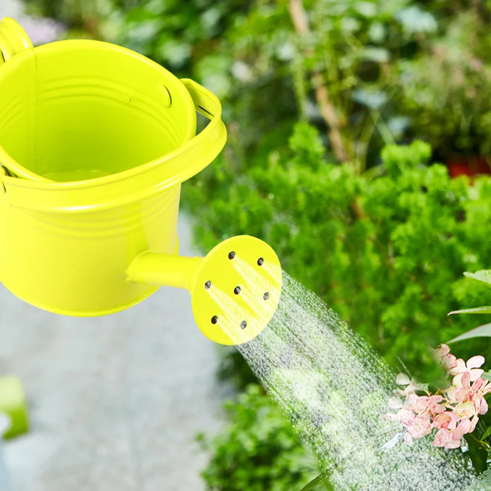 

2pcs Durable Watering Tins Iron Watering Pots Modern Watering Buckets