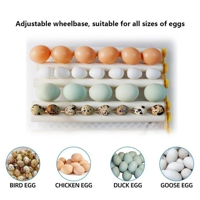 Eggs Incubator 16 Digita Mini Automatie Incubatores with Turner for Hatching Turkey Goose Quail Chicken Egg Hatcher Machine | Дом и сад