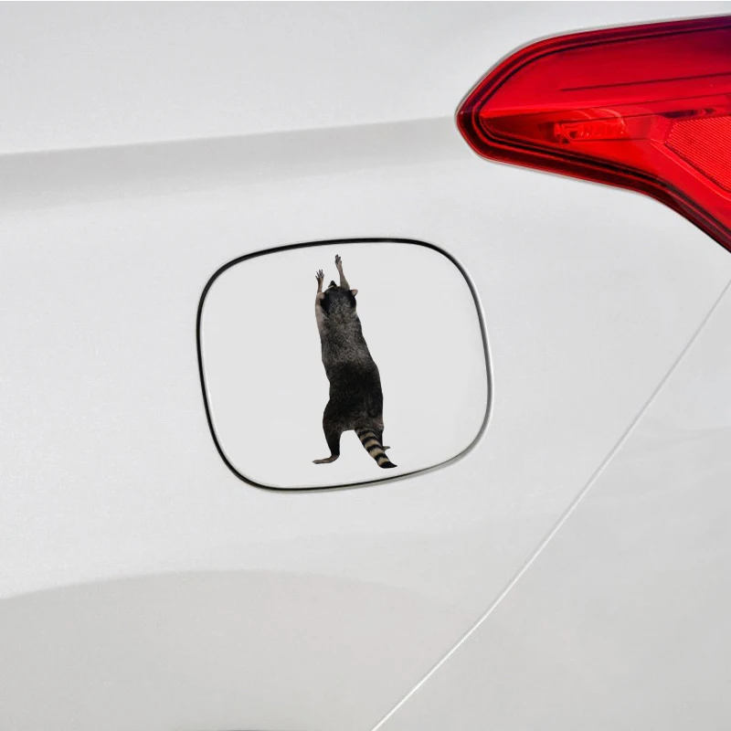 13 см x 5 1 наклейка на окно енота Автомобильная Наклейка Виниловая автомобиля