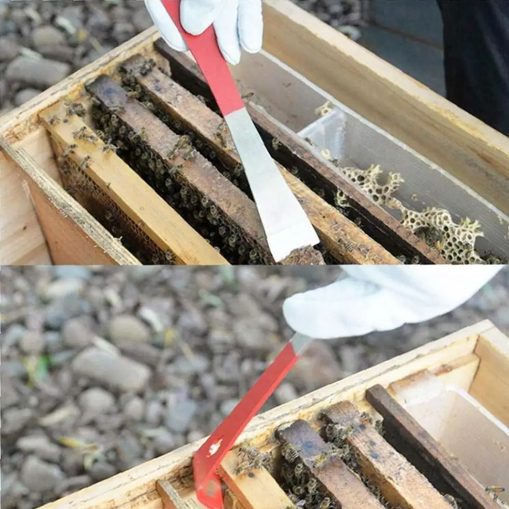 

1 Pcs Stainless Steel Honeycomb Scraper Curved J-Shaped Tail Flat Head Honeycomb Hook Scraper Beekeeping Tool