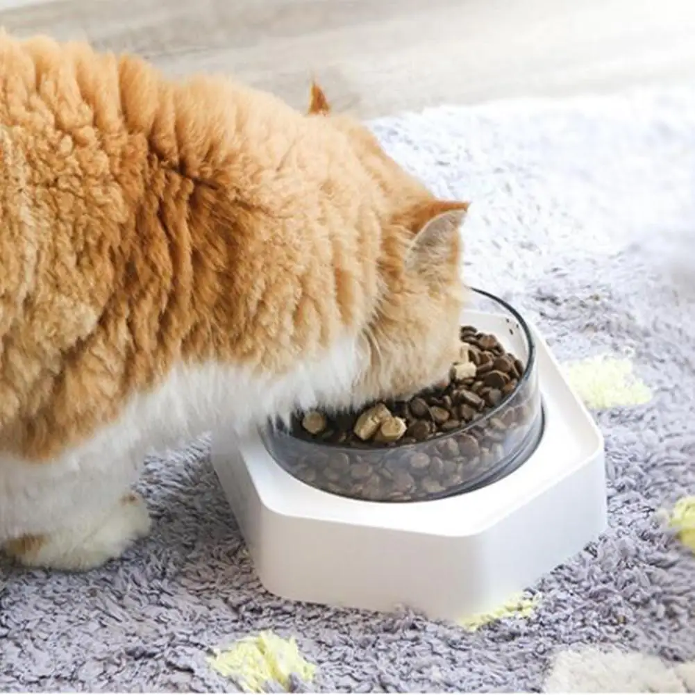 ПЭТ шестиугольная наклонная миска кормушка с нескользящей базой для кошек