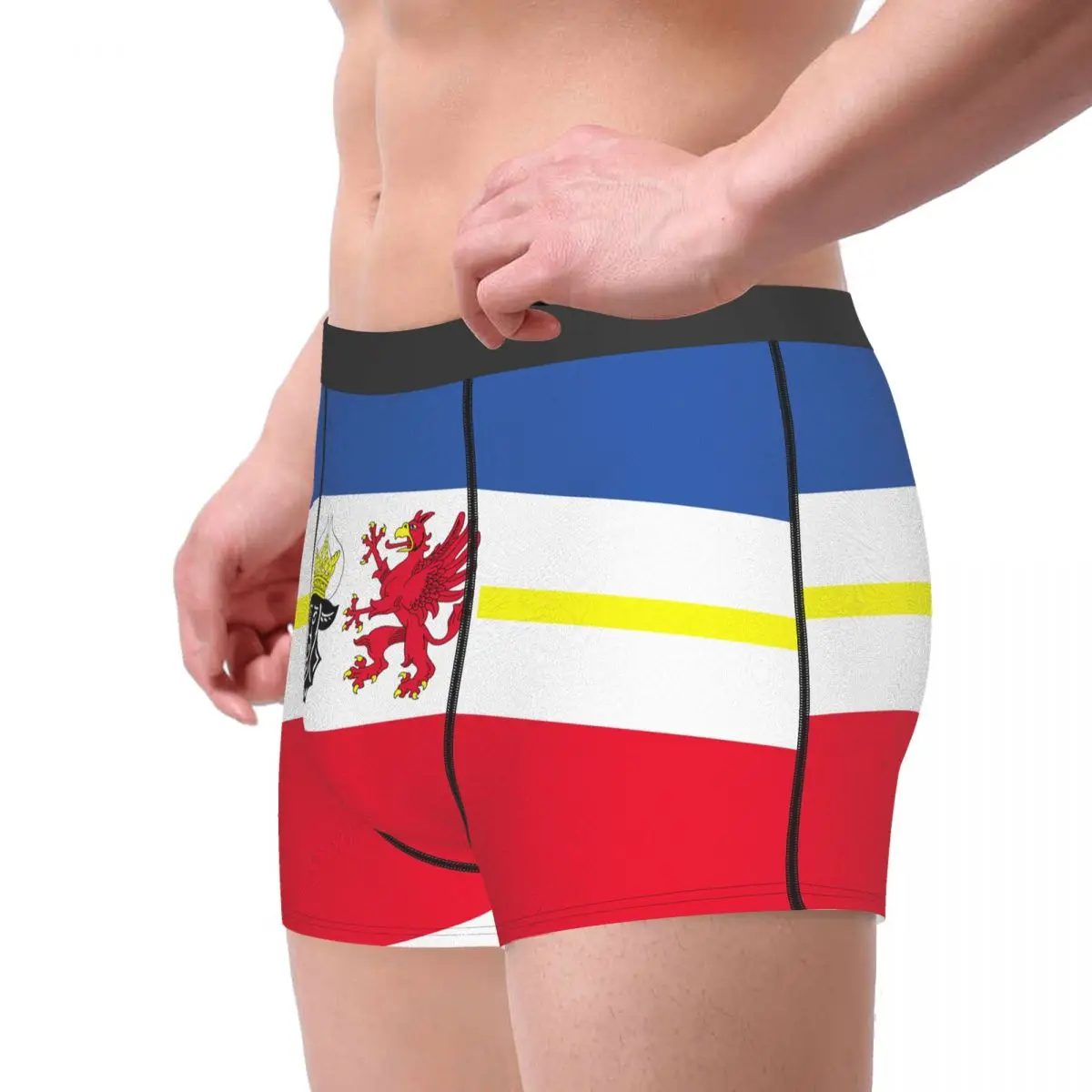 Flag Of Mecklenburg-Western Pomerania (state) Men's Boxer Briefs German states Humor Men's boxer leggings
