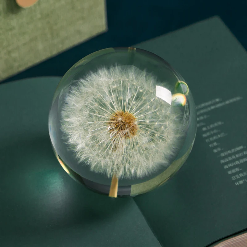 Dandelion Crystal Glass Resin Lens Ball 80mm Natural Plants Specimen Feng Shui Flowers Christmas Love Gift Home Decor Crafts