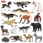 Фигурки Oenux, лесные животные, ящерица, насекомые, фигурка дикого волка, орангутан, верблюжья лошадь, модель, фигурки, коллекция из ПВХ, искусственные