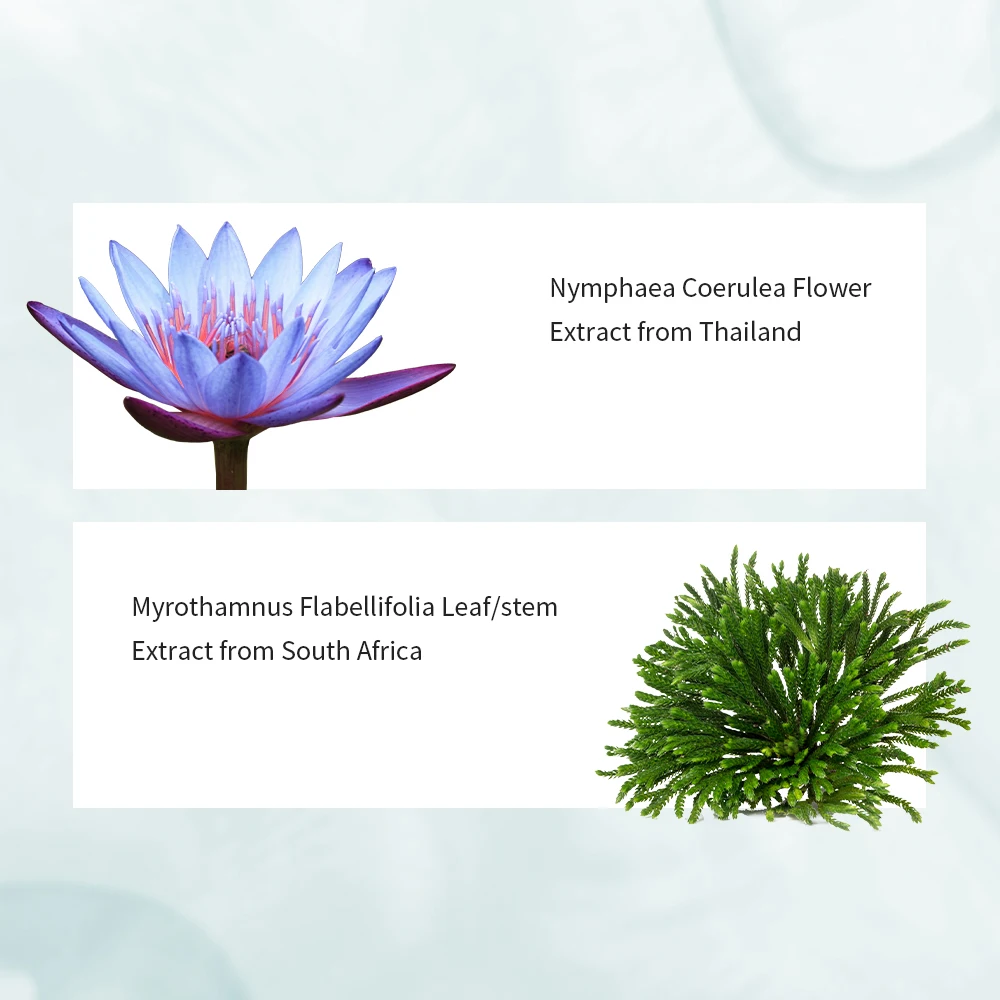 

GONIM Moist-7 Complex Facial Sheet Mask Korea Plant Nature Full Face Masks Skincare Soothing Moisturizer Skin Barrier Mask 10PCS