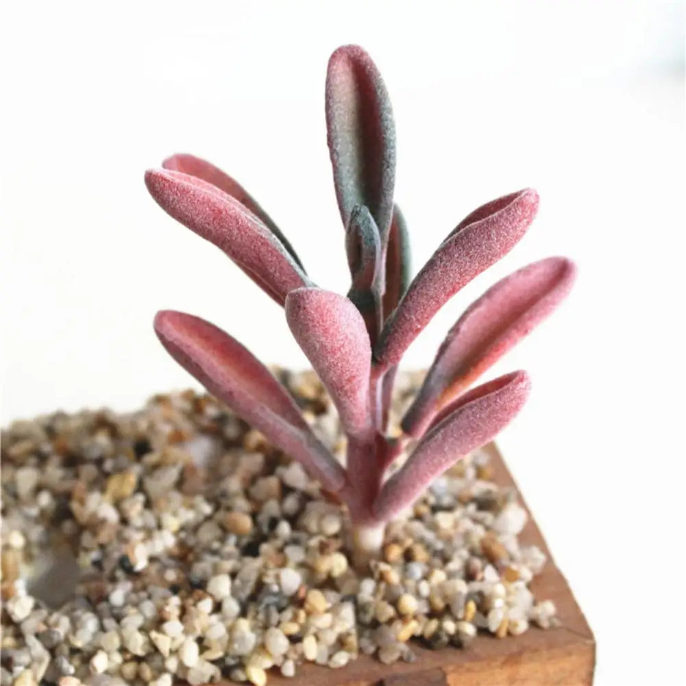 Искусственные растения суккуленты ремесло флористика украшение пластиковые для