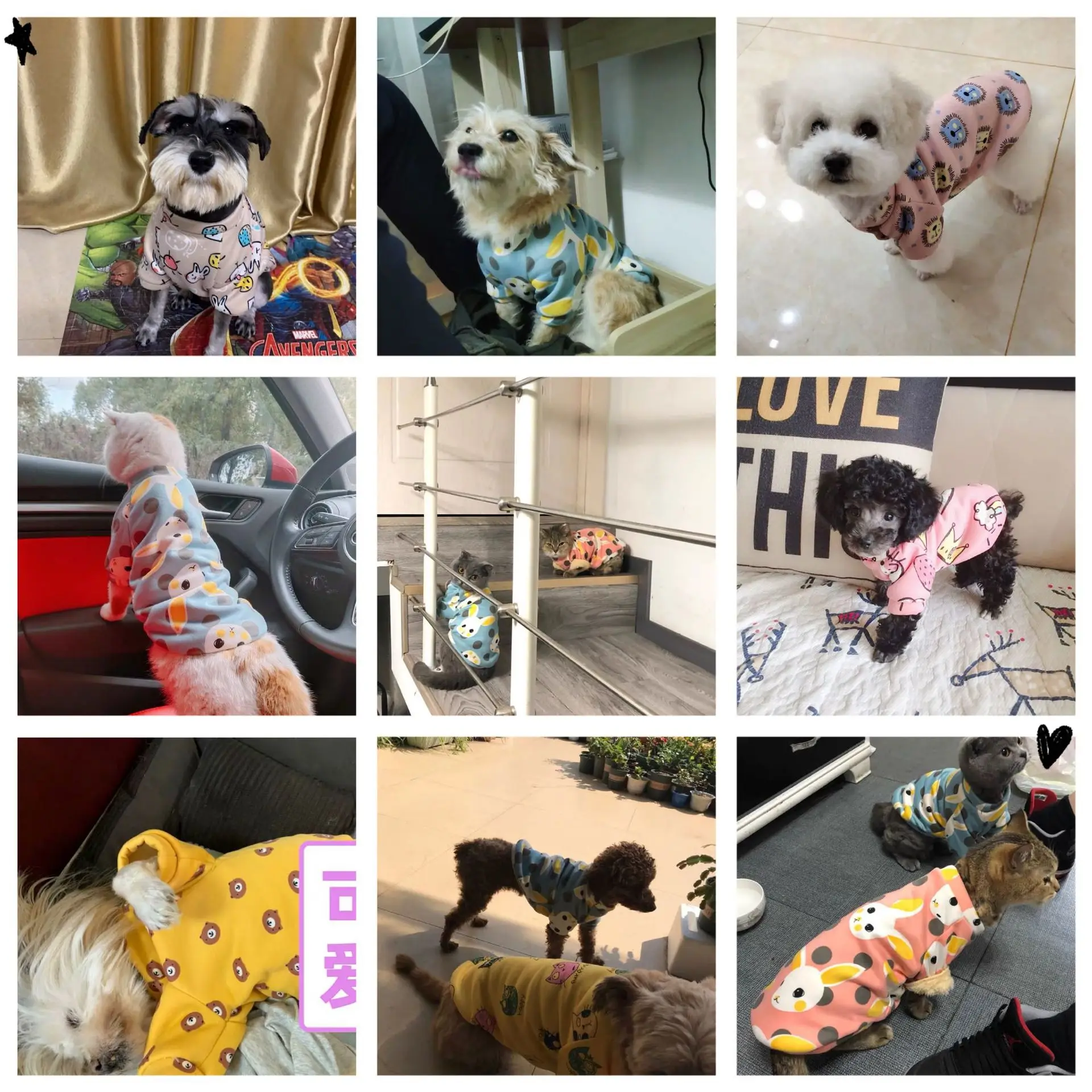 

Cartoon Print Cute Pet Clothes for Small Dogs Cats Winter Warm Coat Shih Tzu Sweatshirt Puppy Kitten Pullover Pet Supplies 2020